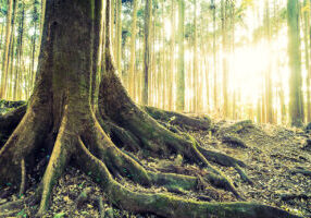 omer-day-16